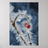 Ice Berries Poster (Voorkant)