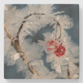 Ice Berries Stenen Onderzetter (Voorkant)