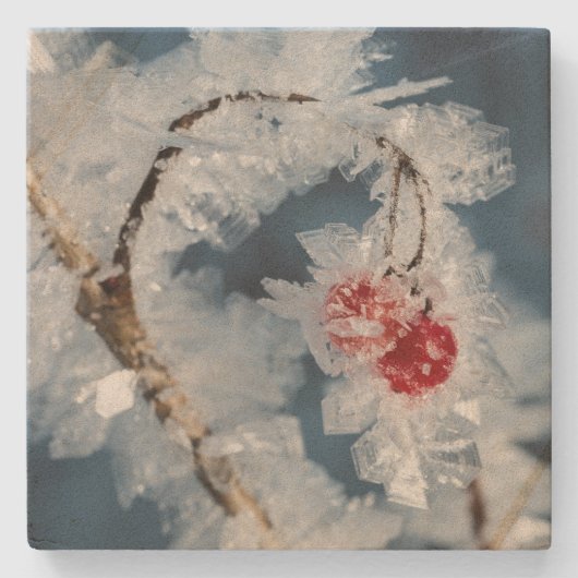 Ice Berries Stenen Onderzetter (Voorkant)