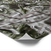 Ice Branch Lace in het bos Poster (Hoek)