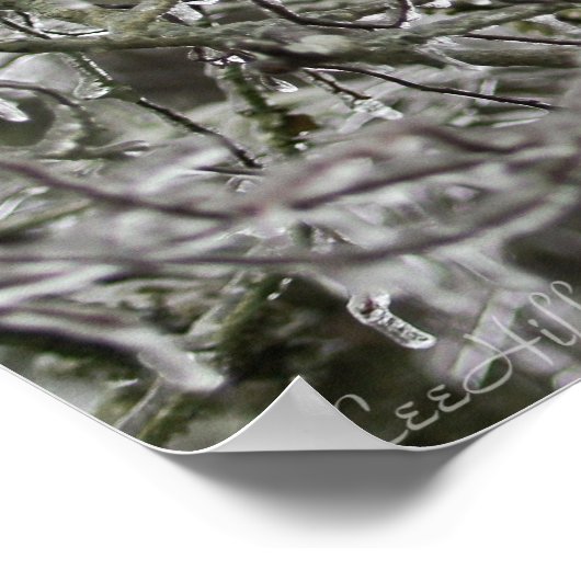 Ice Branch Lace in het bos Poster (Hoek)