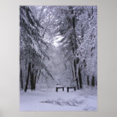 Ice Cathedraal 2 ~ afdruk Poster (Voorkant)