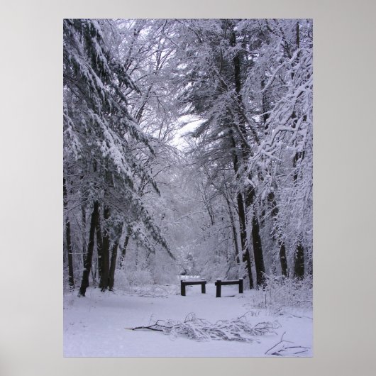 Ice Cathedraal 2 ~ afdruk Poster (Voorkant)