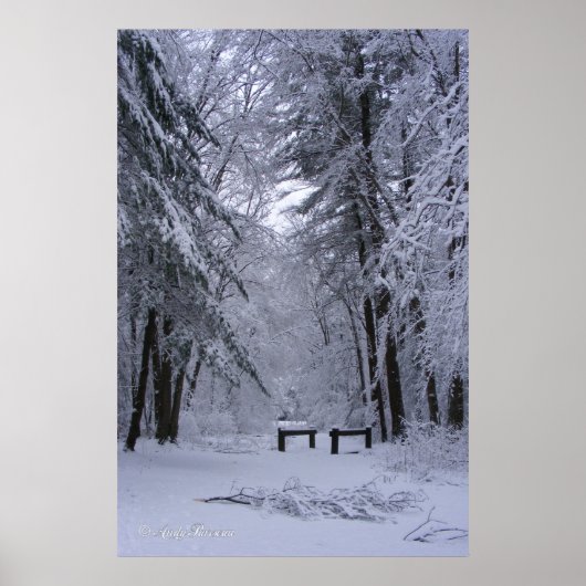 Ice Cathedraal ~ print (Voorkant)