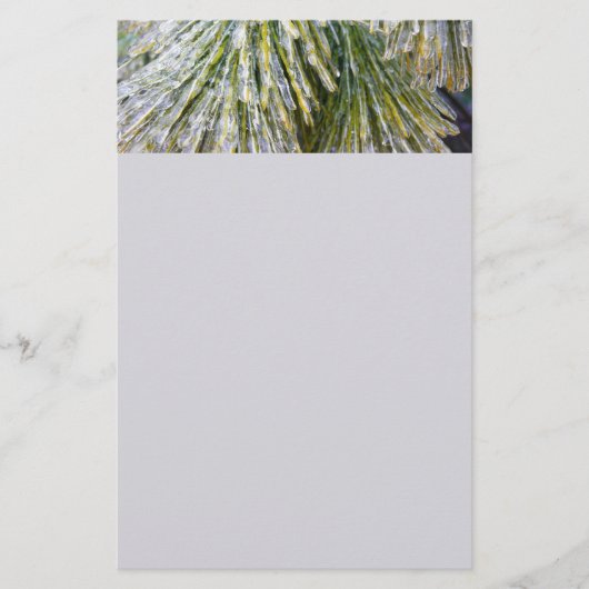 Ice Coated Pine Needles Winter Botanisch Briefpapier (Voorkant)