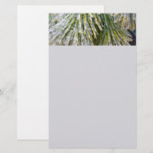 Ice Coated Pine Needles Winter Botanisch Briefpapier (Voorkant / Achterkant)