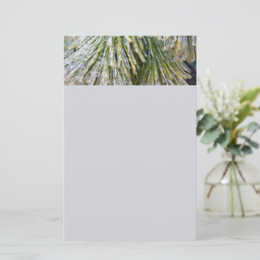 Ice Coated Pine Needles Winter Botanisch Briefpapier (Staand voorkant)