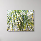 Ice Coated Pine Needles Winter Botanisch Canvas Afdruk (Voorkant)
