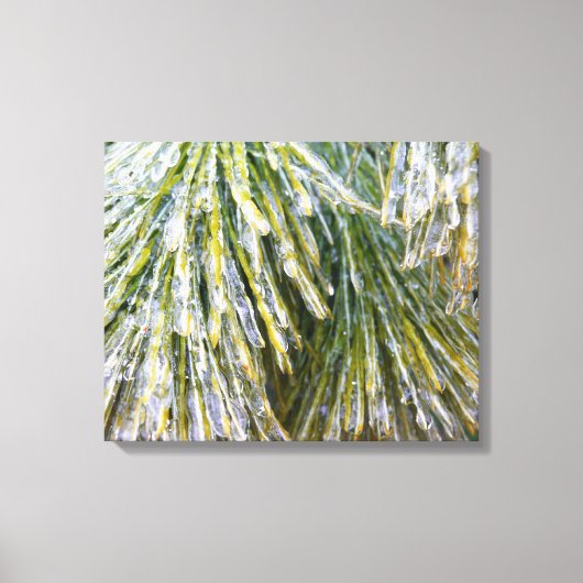 Ice Coated Pine Needles Winter Botanisch Canvas Afdruk (Voorkant)