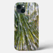 Ice Coated Pine Needles Winter Botanisch Case-Mate iPhone Case (Achterkant)