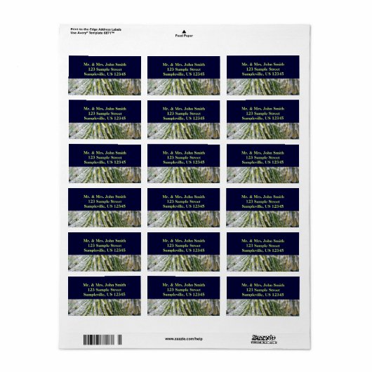 Ice Coated Pine Needles Winter Botanisch Etiket (Full Sheet)