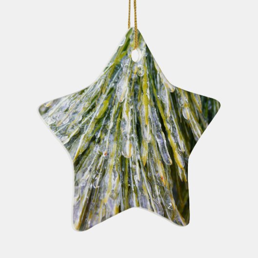 Ice Coated Pine Needles Winter Botanisch Keramisch Ornament (Rechts)