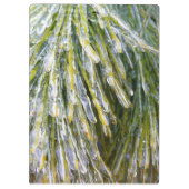 Ice Coated Pine Needles Winter Botanisch Klembord (Achterkant)