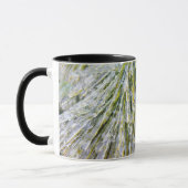 Ice Coated Pine Needles Winter Botanisch Mok (Links)