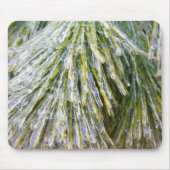 Ice Coated Pine Needles Winter Botanisch Muismat (Voorkant)