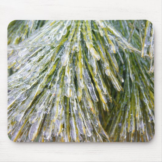 Ice Coated Pine Needles Winter Botanisch Muismat (Voorkant)