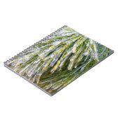 Ice Coated Pine Needles Winter Botanisch Notitieboek (Linkerzijde)
