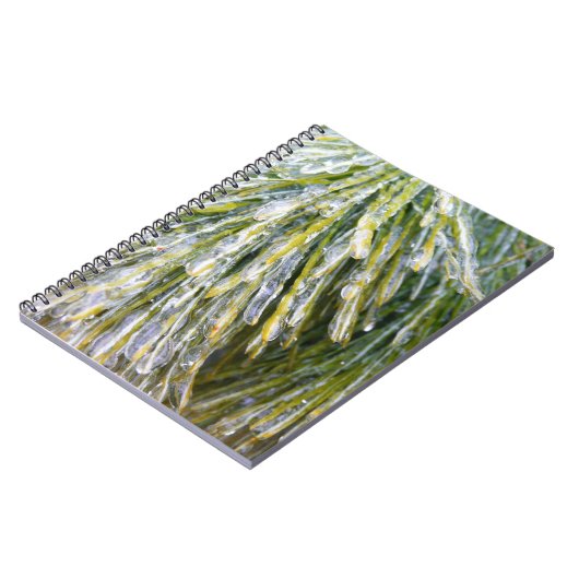 Ice Coated Pine Needles Winter Botanisch Notitieboek (Linkerzijde)