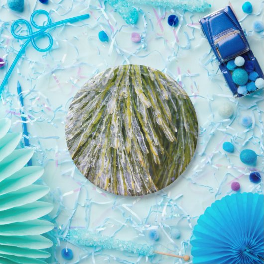 Ice Coated Pine Needles Winter Botanisch Papieren Bordje (Feest)