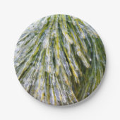 Ice Coated Pine Needles Winter Botanisch Papieren Bordje (Voorkant)