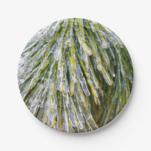 Ice Coated Pine Needles Winter Botanisch Papieren Bordje