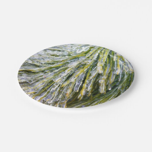 Ice Coated Pine Needles Winter Botanisch Papieren Bordje (Gekanteld)