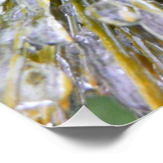 Ice Coated Pine Needles Winter Botanisch Poster (Hoek)