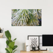 Ice Coated Pine Needles Winter Botanisch Poster (Thuiskantoor)