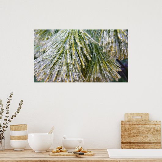 Ice Coated Pine Needles Winter Botanisch Poster (Keuken)