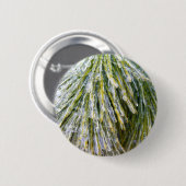 Ice Coated Pine Needles Winter Botanisch Ronde Button 5,7 Cm (Voorkant /achterkant)