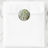 Ice Coated Pine Needles Winter Botanisch Ronde Sticker (Tas)