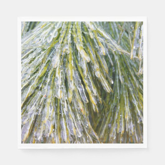 Ice Coated Pine Needles Winter Botanisch Servet (Voorkant)