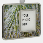 Ice Coated Pine Needles Winter Botanisch Verzilverd Omlijst Ornament (Rechts)