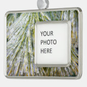 Ice Coated Pine Needles Winter Botanisch Verzilverd Omlijst Ornament (Links)