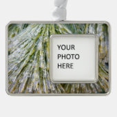 Ice Coated Pine Needles Winter Botanisch Verzilverd Omlijst Ornament (Voorkant)