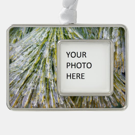 Ice Coated Pine Needles Winter Botanisch Verzilverd Omlijst Ornament (Voorkant)
