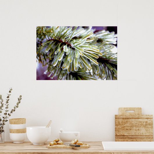 Ice Coated Pine Poster (Keuken)