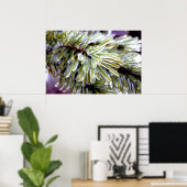 Ice Coated Pine Poster (Thuiskantoor)
