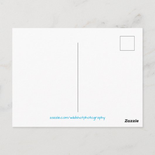 Ice Cold Fun Briefkaart (Achterkant)