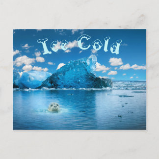 Ice Cold Fun Briefkaart