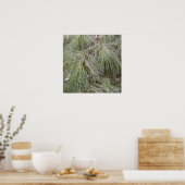 Ice Covered Pine Poster (Keuken)