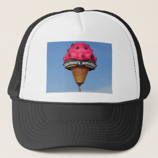 Ice Cream Cone Hot Air ballon Trucker Pet