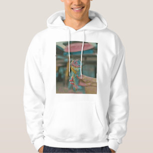 Ice cream flavor hoodie
