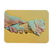 Ice cream flavor magneet (Horizontaal)