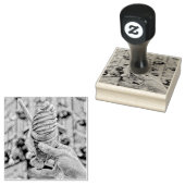 Ice cream for kids rubberstempel (Gestempeld)