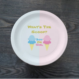 Ice Cream Gender onthullen Papieren Bordje