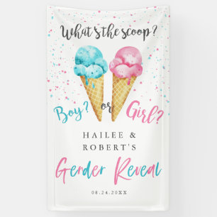 Ice Cream Gender onthullen Party Welcome Banner