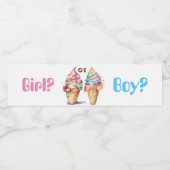 Ice Cream Gender Release Party Waterfles Etiket (Enkel label)