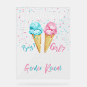 Ice Cream Gender Reveal Party Sign Acryl Bord (Voorkant)