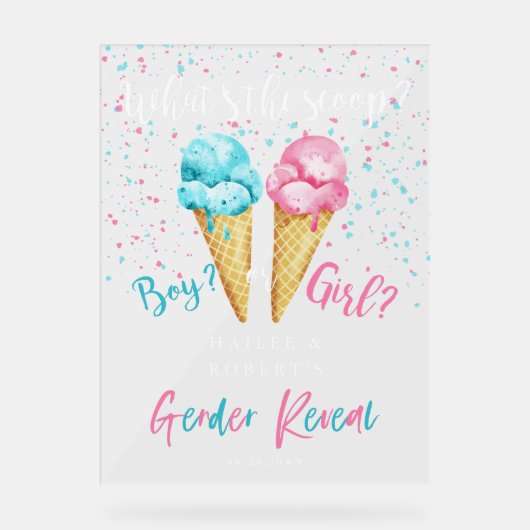 Ice Cream Gender Reveal Party Sign Acryl Bord (Voorkant)